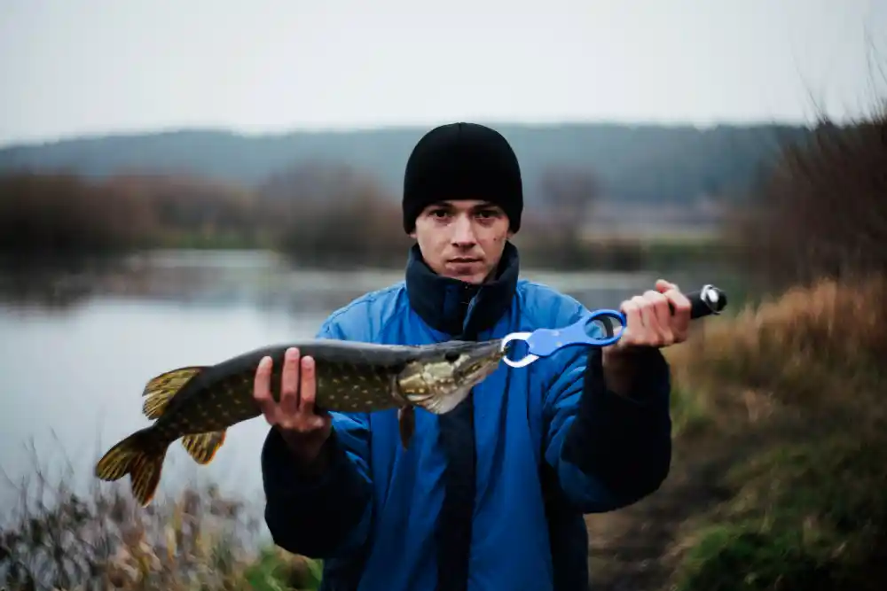 Memancing Ikan Predator