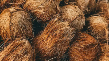 Serat kelapa alami sebagai pengikat tanah