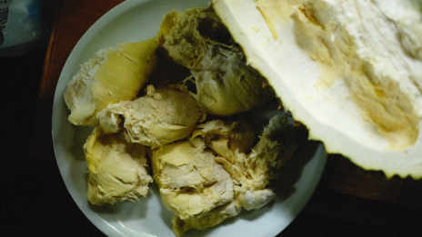 cara mengolah biji durian