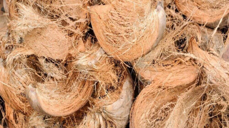 Penerapan Sabut Kelapa untuk Agritech