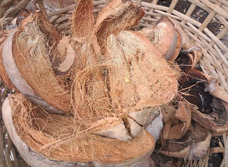 Sabut kelapa sebagai media filter air alami