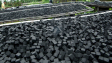 coconut charcoal briquette export