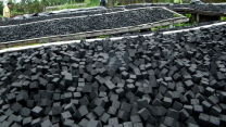 coconut charcoal briquette export