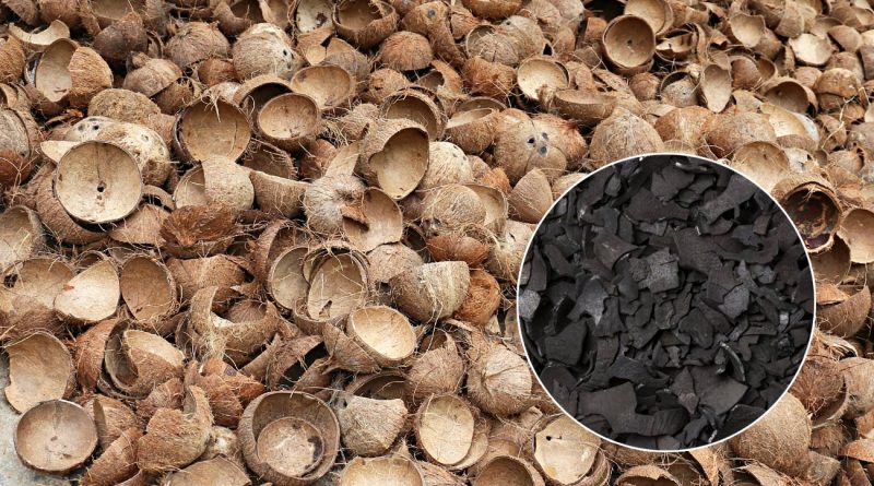 global coconut charcoal export