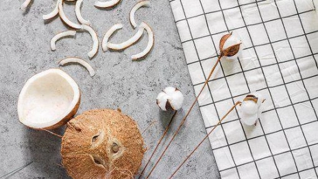 kerajinan dari sabut kelapa