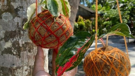 Pemanfaatan Sabut Kelapa dalam Pendidikan Lingkungan sebagai media edukasi ramah lingkungan untuk menumbuhkan kesadaran dan keberlanjutan.