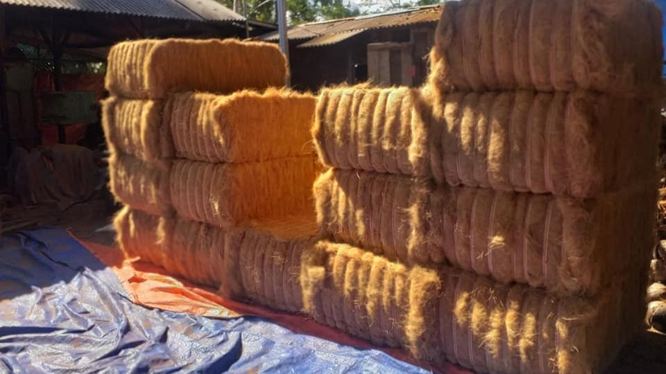 jaring sabut kelapa ekonomi hijau