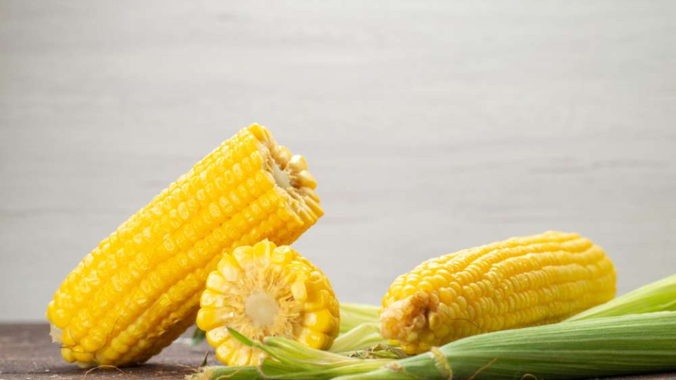 Cara Mengoperasikan Penggiling Janggel Jagung