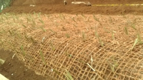 Jaring Sabut Kelapa Stabilisasi Tanah