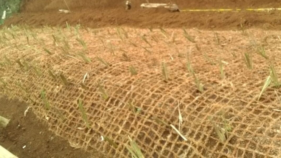 Jaring Sabut Kelapa Stabilisasi Tanah