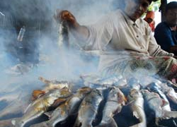 Cara Mengawetkan Ikan Dengan Asap Tradisional Efektif