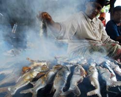 Cara Mengawetkan Ikan Dengan Asap Tradisional Efektif