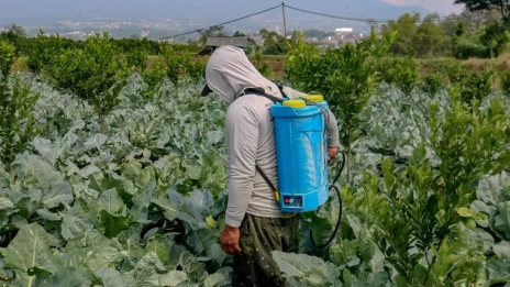 Tips Memilih Sprayer Elektrik Pertanian Agar Hasil Lebih Maksimal