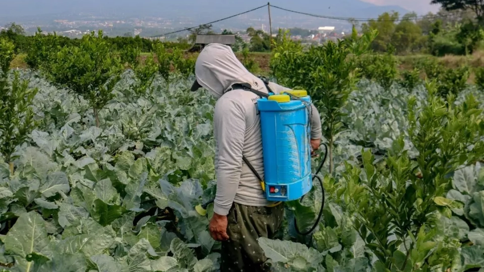Tips Memilih Sprayer Elektrik Pertanian Agar Hasil Lebih Maksimal