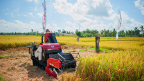 Alat Bantu Petani Panen Sawah Modern Efisien