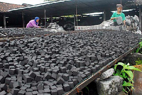Alat Usaha Briket Tempurung Kelapa