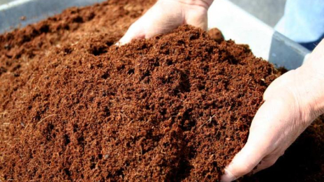 Cara Mengemas Cocopeat Untuk Dijual Lebih Menarik