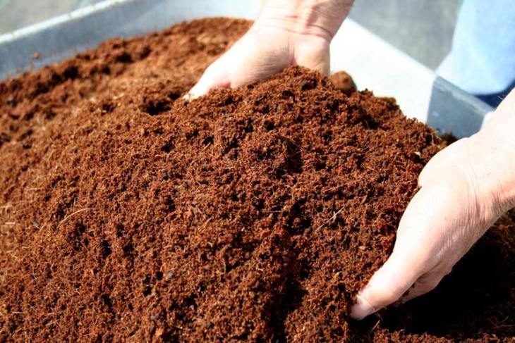 Cara Mengemas Cocopeat Untuk Dijual Lebih Menarik
