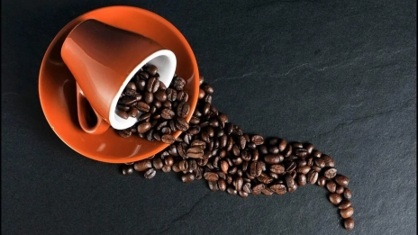 Tahapan Memecah Kulit Kopi Kering Proses Lengkap