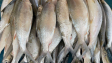 Solusi Praktis Melunakkan Tulang Ikan